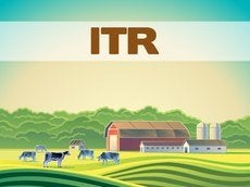 Prazo para a entrega da DITR exercício 2020 inicia dia 17/08 e vai até o dia 30/09 de 2020